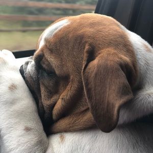 Meet your Posher, Macy